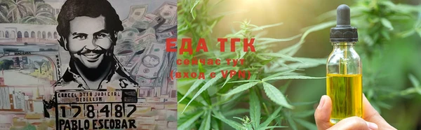 трава Коряжма