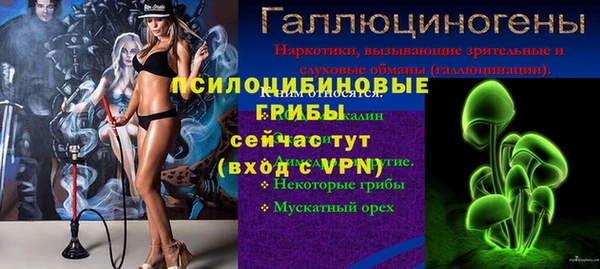 сатива Алзамай