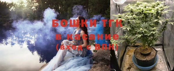 сатива Алзамай