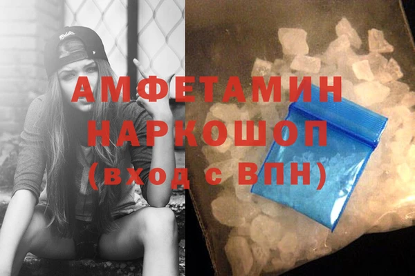 гашик Алексеевка