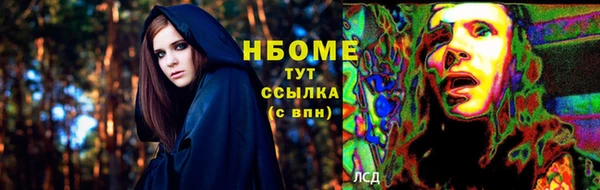 сатива Алзамай