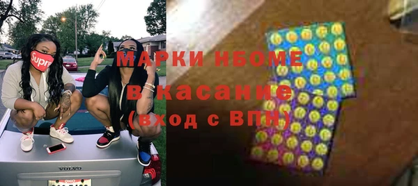 сатива Алзамай