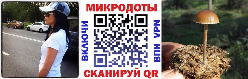 Псилоцибиновые грибы GOLDEN TEACHER  Пермь 