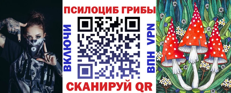 Псилоцибиновые грибы прущие грибы Пермь