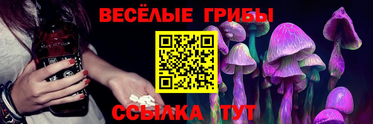 Псилоцибиновые грибы ЛСД  Вход с VPN  Пермь  Галлюциногенные грибы Psilocybine cubensis 